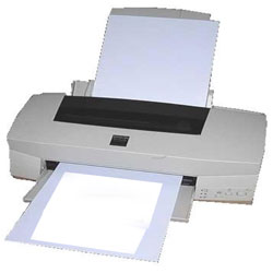 Epson Stylus Photo 710