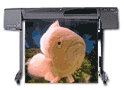 HP DesignJet 800 24