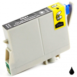 Cartuccia Epson T0541 Nero Photo