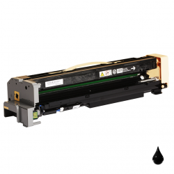 Tamburo Xerox 113R00779 Nero