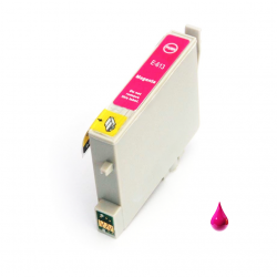Cartuccia Epson T0613 Magenta