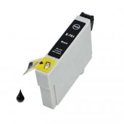 Cartuccia Epson T0791 Nero
