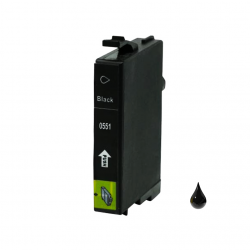 Cartuccia Epson T0551 Nero