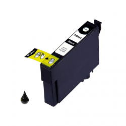 Cartuccia Epson T0481 Nero