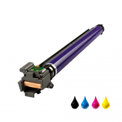 Tamburo Xerox 013R00662 Nero Ciano Magenta Giallo